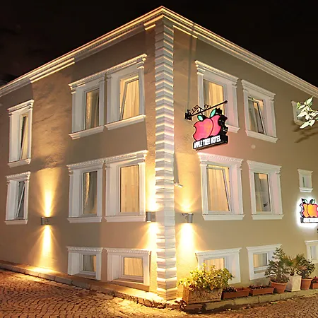 Apple Tree Hotel-3